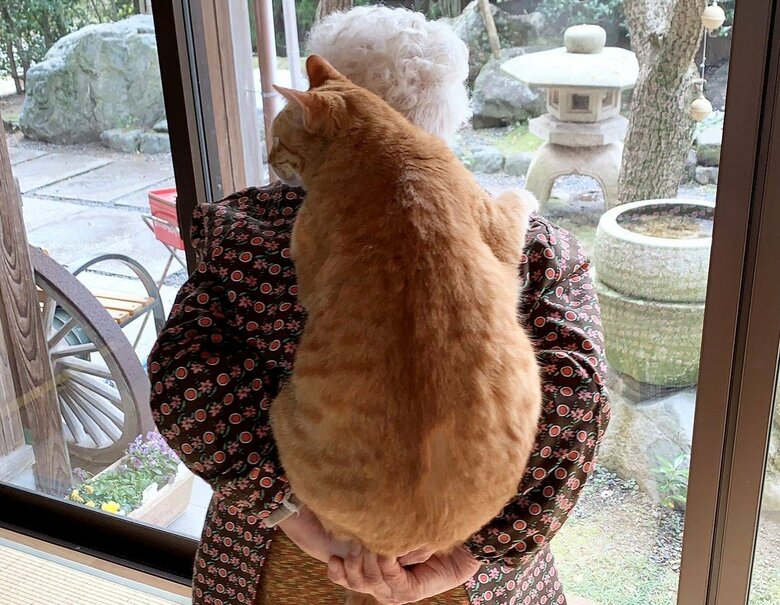 おばあちゃんは小柄だが、ボンくんも大きいという