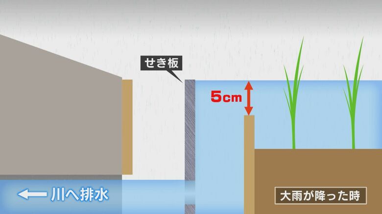 せき板により、普段の水位より5cmほど多く雨水をためられる。穴から少しずつ排水