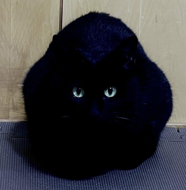 提供：マクーさん