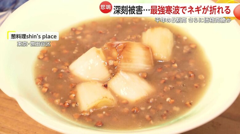 ネギ料理専門店「葱料理 shin's place」の一品