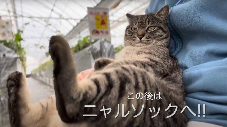 コタローくんの日常（4）