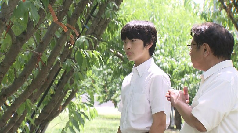 宮内庁提供　2023年8月撮影