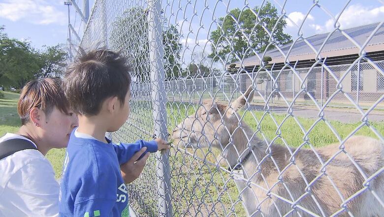 近くには市の管理する公園も