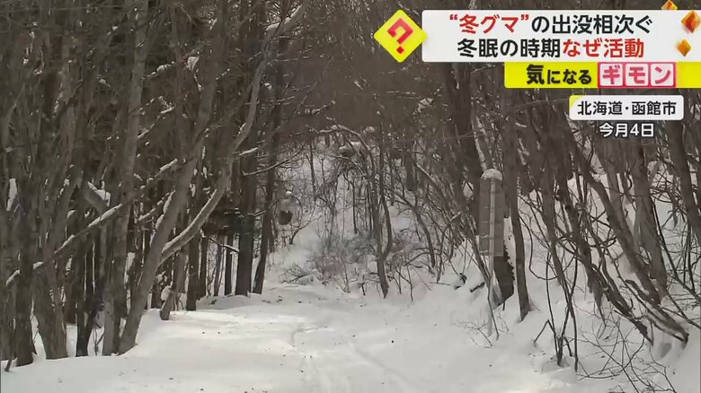 木々に囲まれた場所