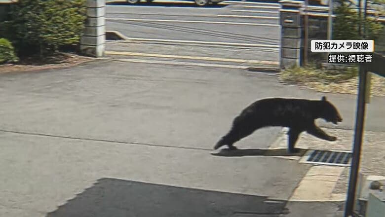 防犯カメラの映像（提供：視聴者）