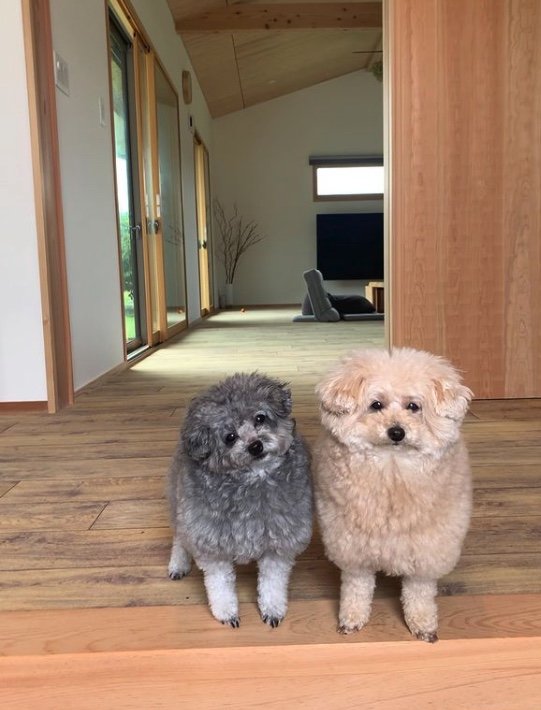 提供：＠tsuru_323さん