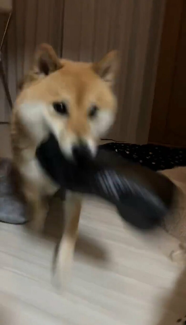 勢いよく前進！