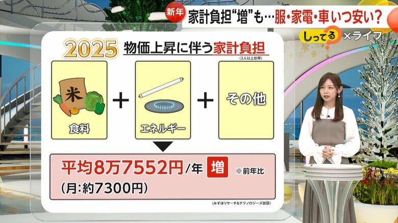 2024年と比べて、いくら家計の負担が増えるかの試算結果