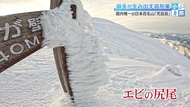 山用語では有名な“エビの尻尾”