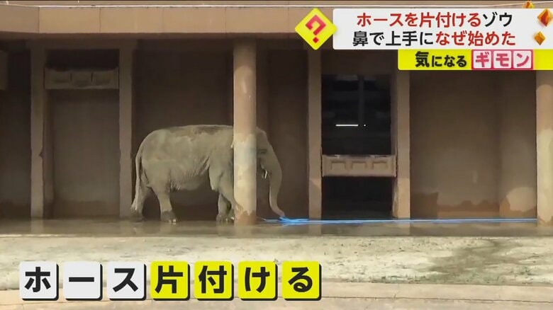 （撮影：らすかるさん）