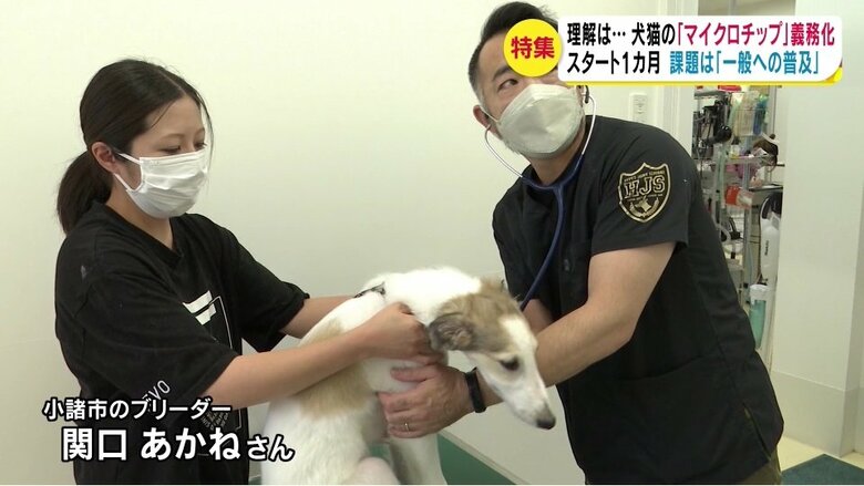 佐久平マール動物病院