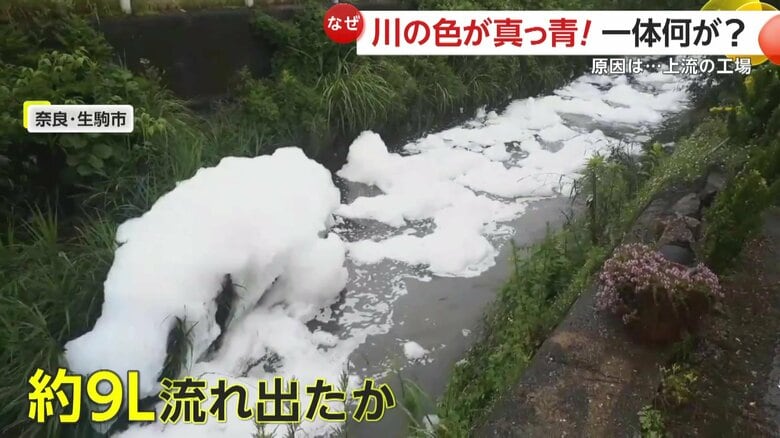 今のところ健康被害はなし（提供：生駒市役所）