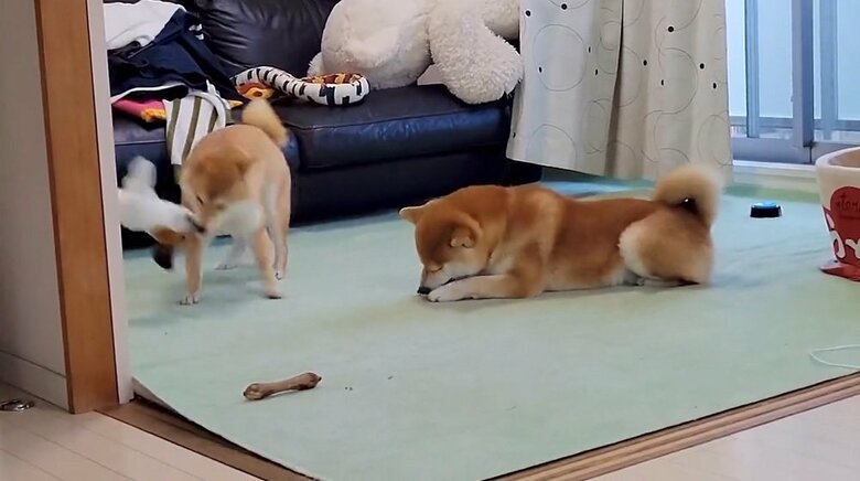 回転して…
