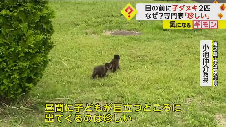 （FNN投稿サイト「ビデオPost」）