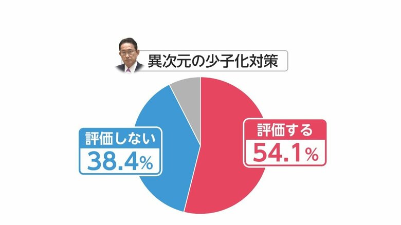 図：4月世論調査 「次元の異なる少子化対策への評価」