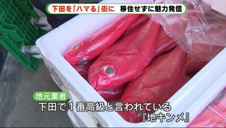 下田はキンメダイの水揚げがさかん