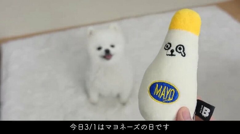 3月1日はマヨネーズの日