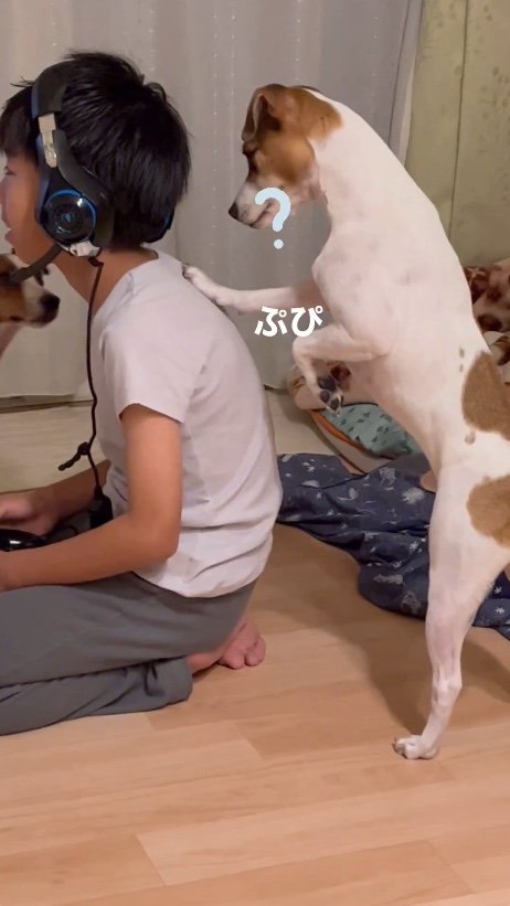 提供：あずもなさん