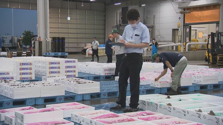 新潟市中央卸売市場