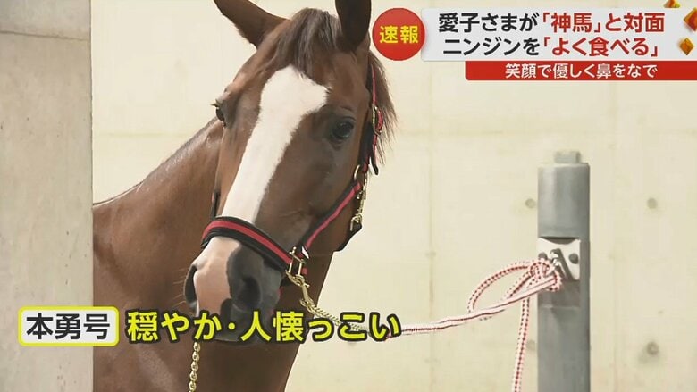 伊勢神宮で神様が乗るとされる「神馬」に