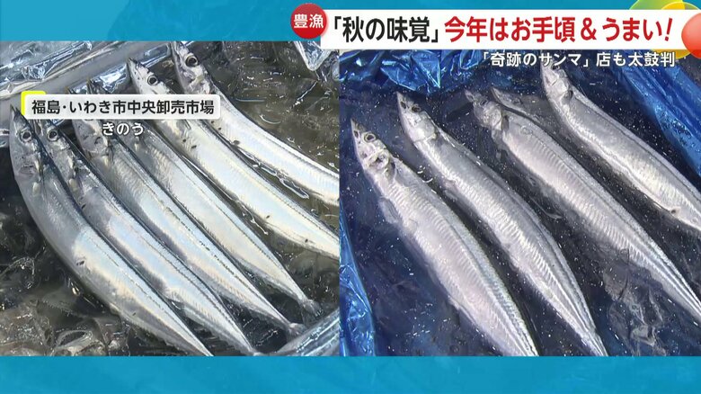 左：2022年 右：2025年 右の方が一目瞭然で大きい