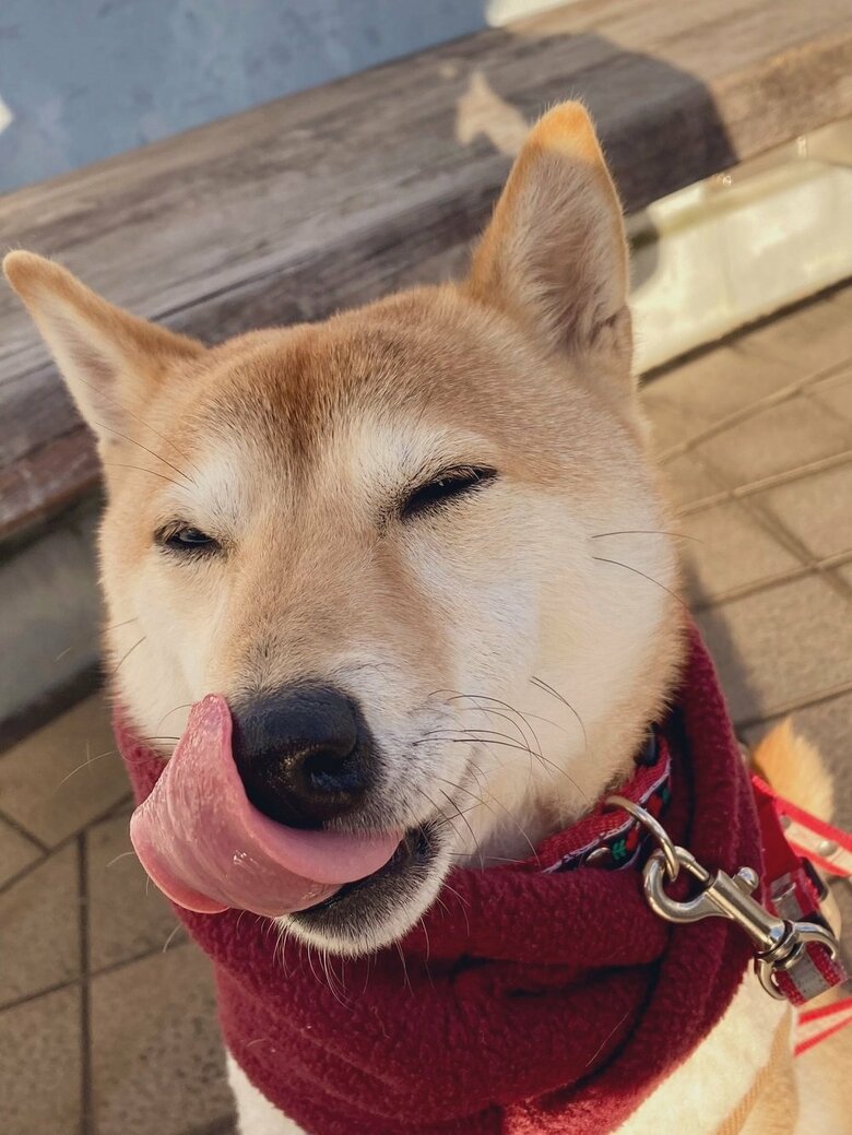 おやつうんまぁ～