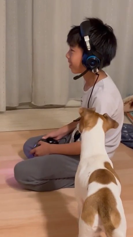 提供：あずもなさん