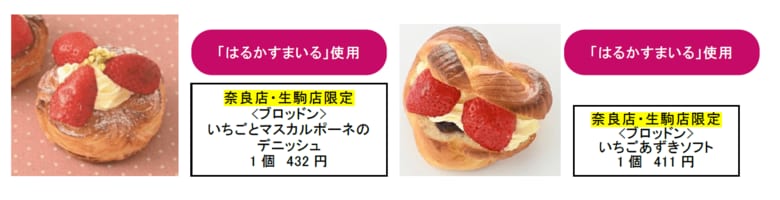 商品は売り切れ次第終了。表示価格には消費税が含まれる。（出典:近鉄百貨店）