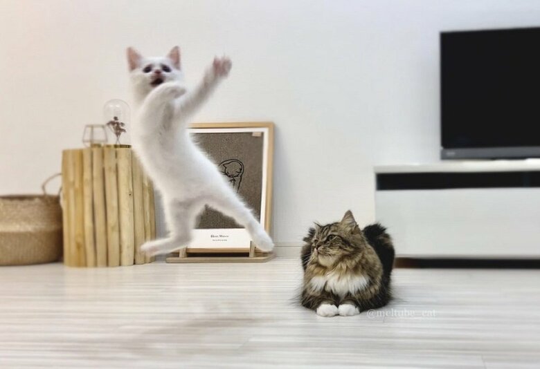時の流れが違う…