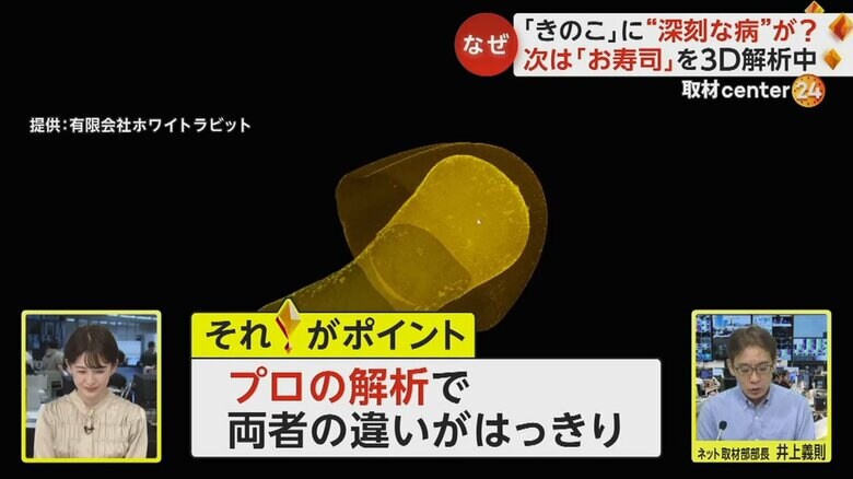 解析で違いがハッキリした「きのこの山」と「たけのこの里」