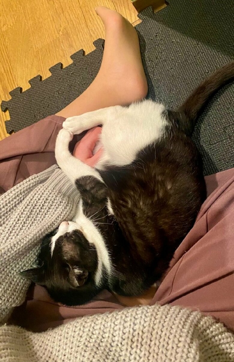 飼い主さんに甘えている空くん