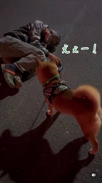 提供：カンさん