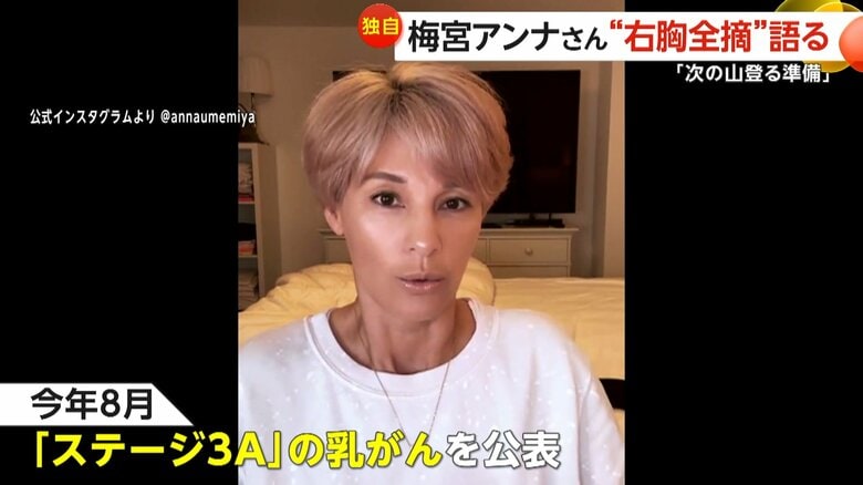 タレントの梅宮アンナさん