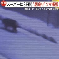 「どこから来たんだろう」“スーパー居座りクマ”3日目に捕獲……