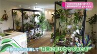 “日常に彩りとうるおいを”植物とカフェを同時に楽しめる　こだわり溢れた観葉植物専門店