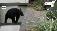 「庭先でクマに襲われた」93歳女性が顔と右足を骨折　搬送時会話はできる状態　以前も体長1mのクマを駆除　山梨