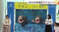 「アラン」と「リーリャ」よろしくね！2頭のシロイルカに命名　しまね海洋館アクアスの新たなアイドルに