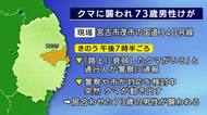 「路上に衰弱したクマ」突然動き出し男性襲われけが　クマは山に逃げる　岩手県宮古市
