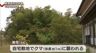 クマが覆い被さる恐怖・・・新発田市で男性が襲われ軽傷【新潟】
