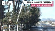 強風で木や電柱相次ぎ倒れる…十勝地方中心に約4200戸で
