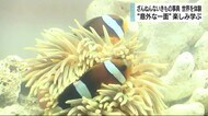 ざんねんないきもの事典 イベントで世界観を体験 意外な一面にびっくり