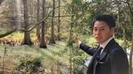 「インスタ映え」で荒らされる森