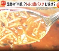 高値続くパスタに救世主？国産より安い「トルコ産」に注目集まる…輸入量はイタリア産を抜いてトップに