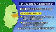 「路上に衰弱したクマ」突然動き出し男性襲われけが　クマは山に逃げる　岩手県宮古市