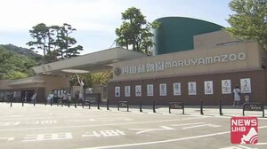 円山動物園「1日8000人まで&完全予約制」4月19日スタート…コロナ対策 札幌市
