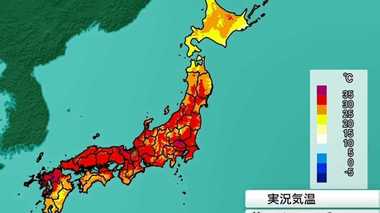 脳梗塞と思ったら熱中症…“酷暑”影響で「病気も悪化しやすい」病院長が警鐘