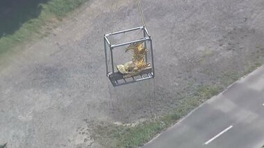 壮観!「空を飛ぶ」金のシャチホコ…“お役目”終えて名古屋城の天守に帰還