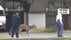 奈良公園のシカが大阪府警に“出頭”か　捕獲も視野　奈良県「奈良公…