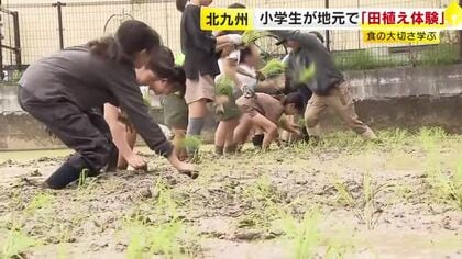 北九州市の小学生が田植え体験　県産米「元気つくし」の苗を植え付け　食の大切さ学ぶ　福岡