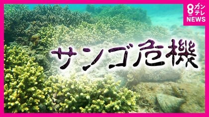 FNNプライムオンライン｜フジテレビ系FNN28局のニュースサイト